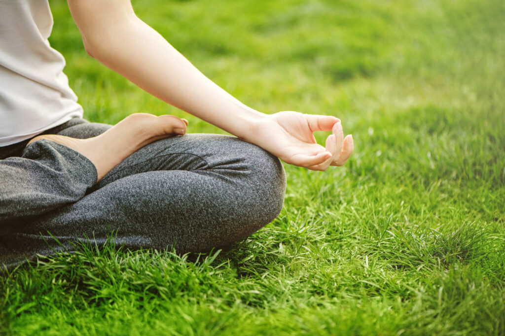 nature-2022-11-09-14-48-22-utc