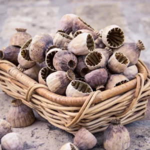 Napravi svoju međimursku gibanicu - 27.10.2026.