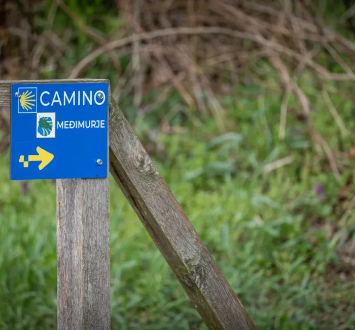 Camino Međimurje -136